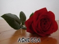 Agnessa