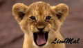 LionMal