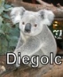 Diegolc