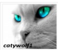 catywolf1