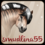 smudlina55