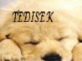 tedisek