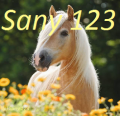 Sany123